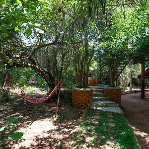 The Thick Forest Деревянный коттедж Сигирия